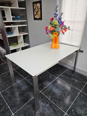 Eetkamertafel 140 x90 glas met rvs