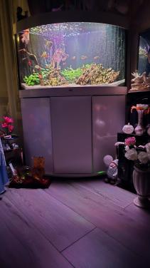 Te koop juwel trigon 190 dimensions nieuwste model