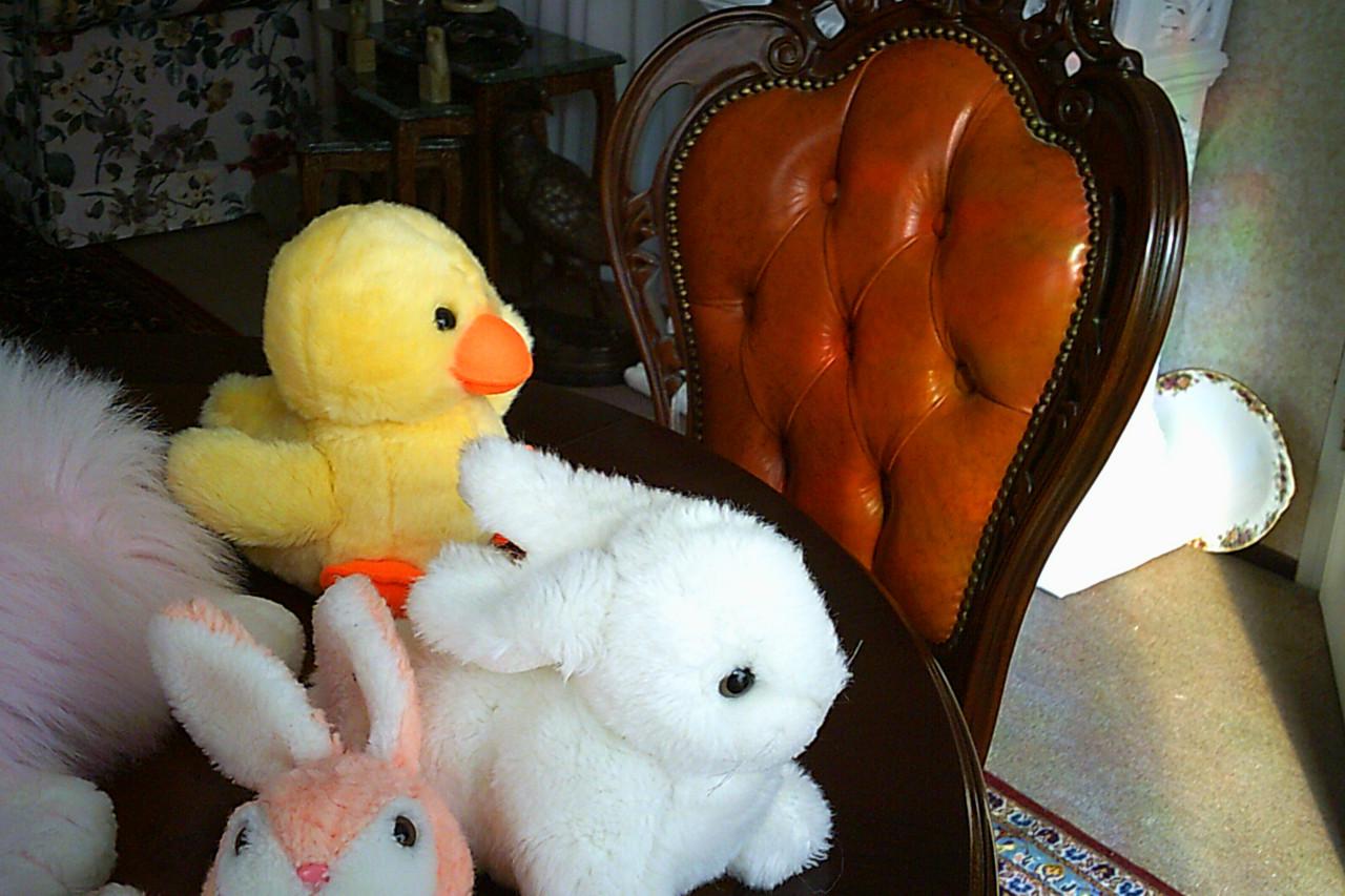 VIER nieuwe knuffels.