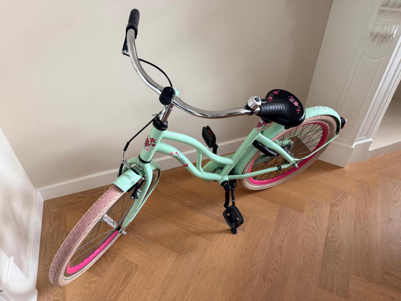 Alpina Ocean 22 inch kinderfiets mintgroen/roze