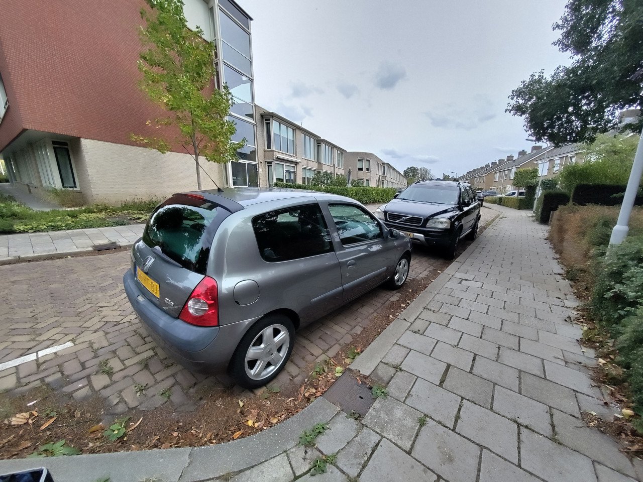 Renault clio