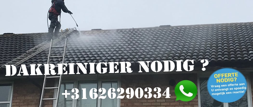 Reiniging houtwerk / dakreiniging hogedruk / softwash