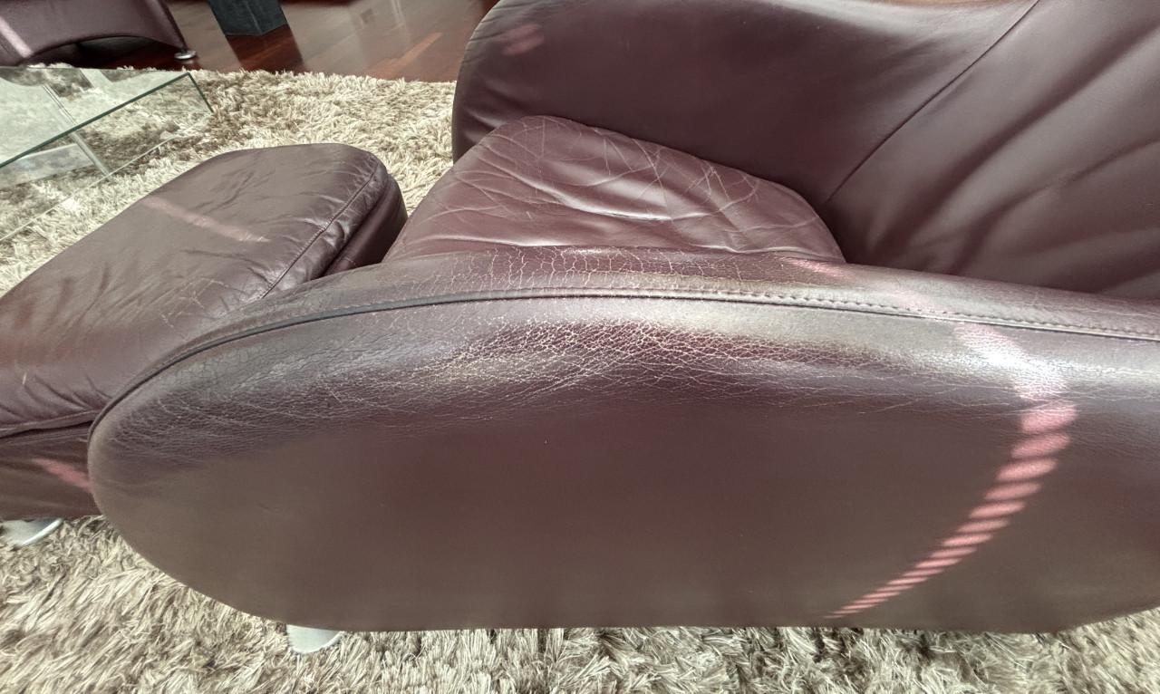 2 * Montis Loge + 1 Montis Hocker