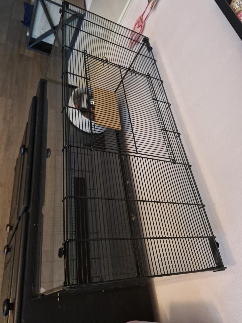 Hamster kooi