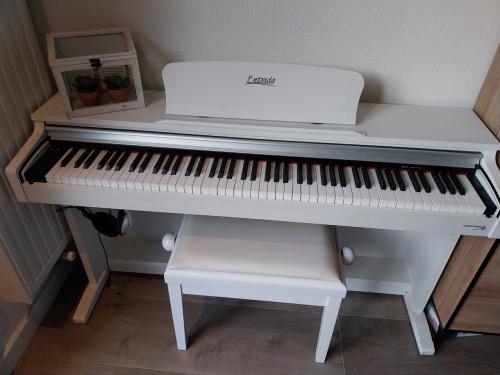 Digitale piano wit