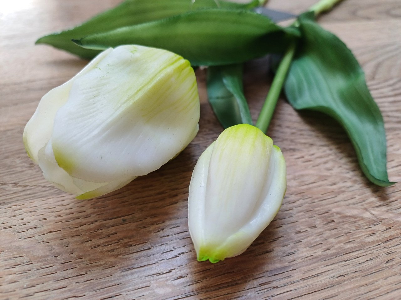 NIEUW: COUNTRYFIELD TULPENVAAS + 5 zijden, witte TULPEN !!!
