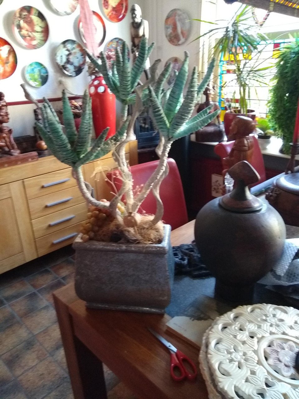 Planten bakken