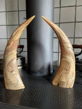 Te koop; vintage uitgesneden hoorns en vogel van hoorn jaren 50 decoratie