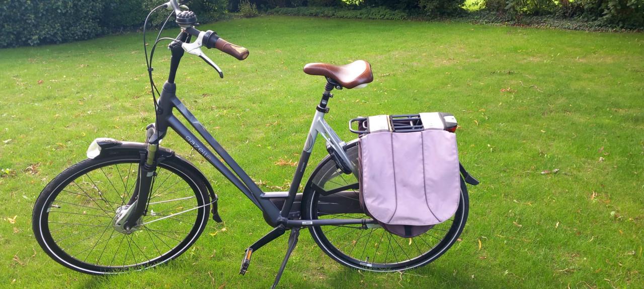 Gazelle Eclipse Limited Edition 8V – 57 cm