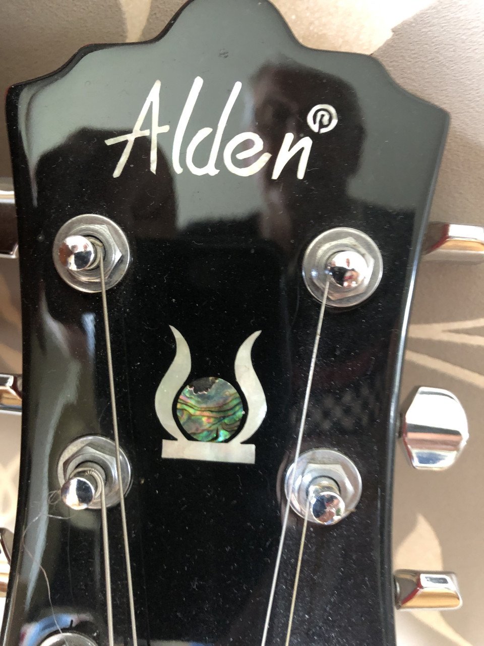 ALDEN resonator gitaar