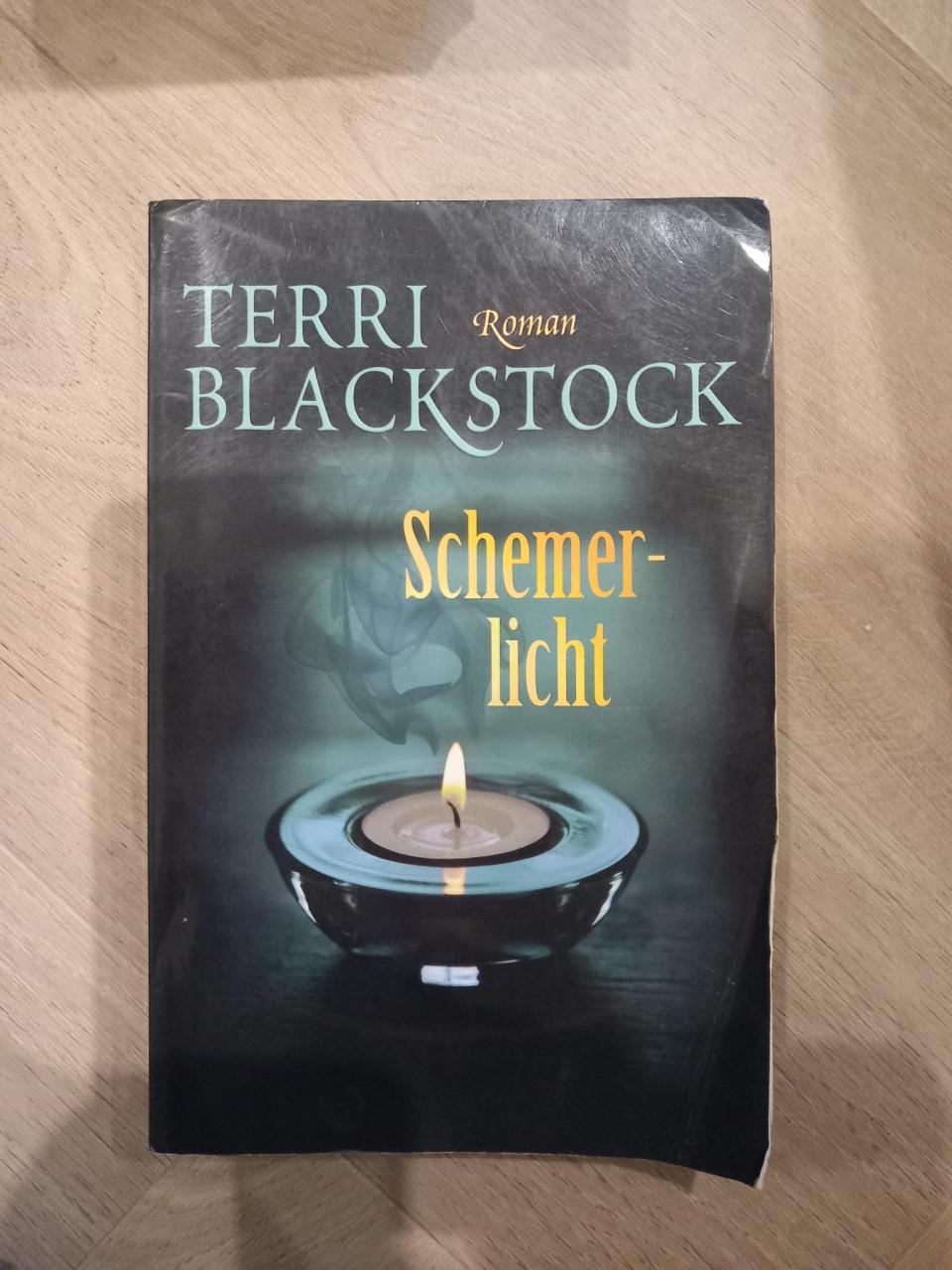 Terri Blackstock - Schemerlicht