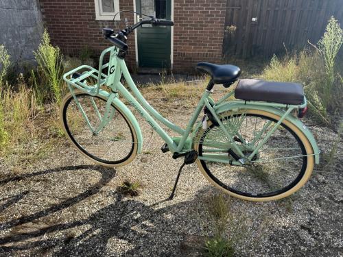 Cortina Milo Transportfiets 28" – Mintgroen – Nexus 3 versnellingen