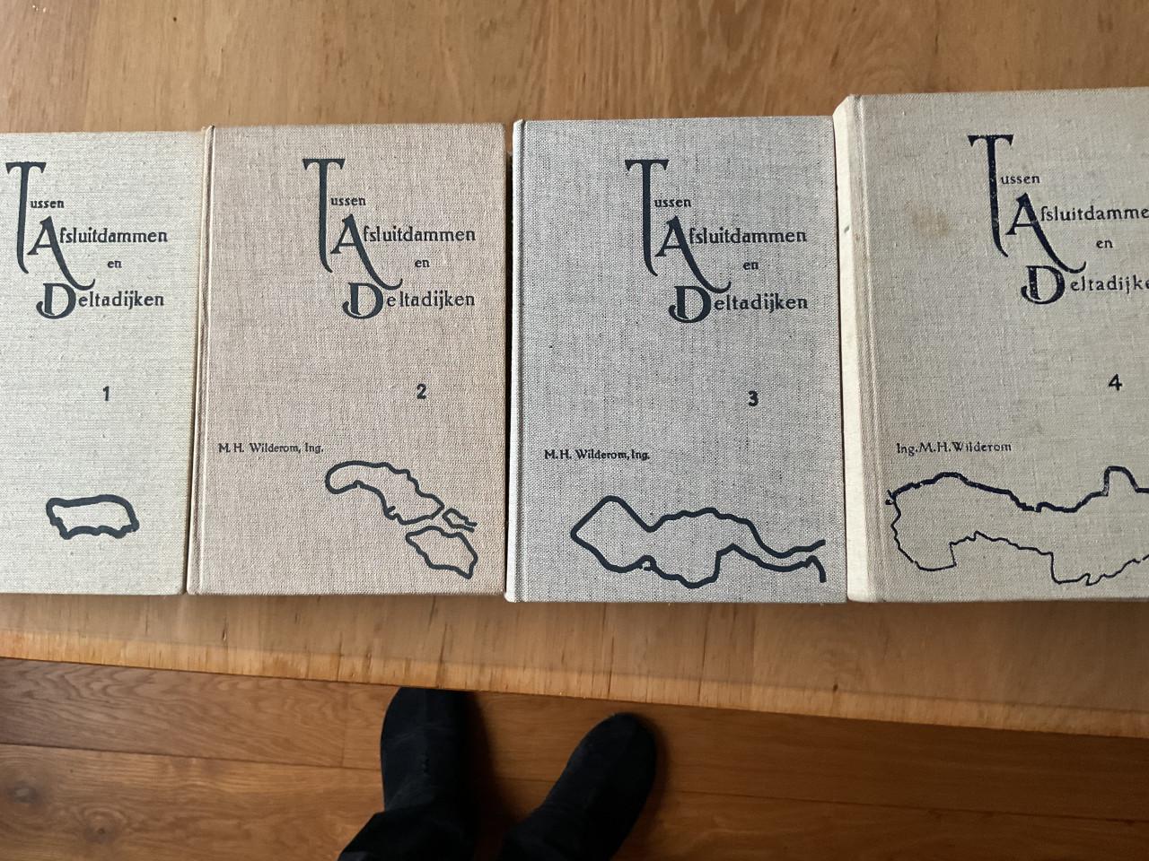 Tussen Afsluitdammen en Deltadijken