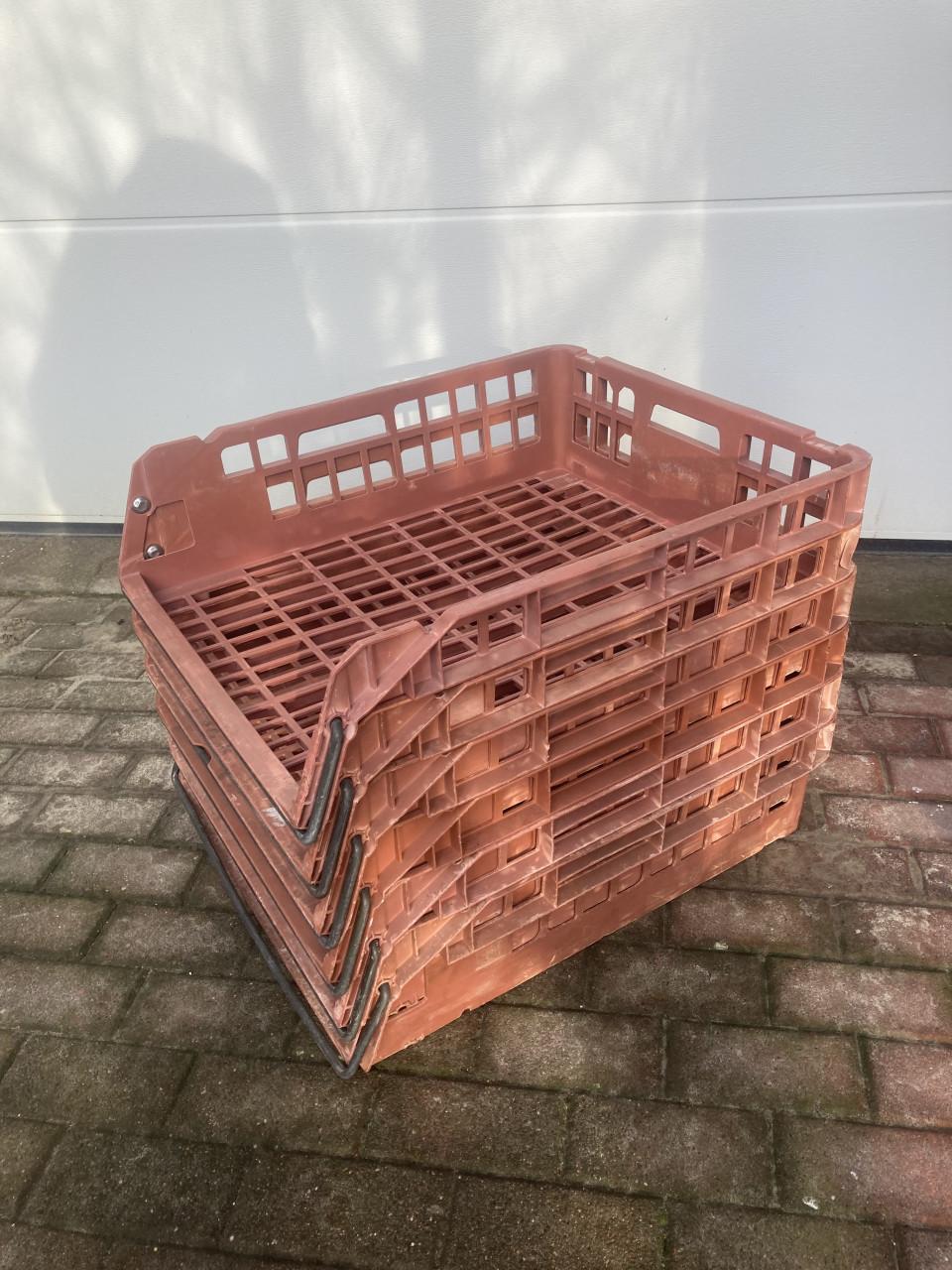 Broodkratten ook grotere aantallen