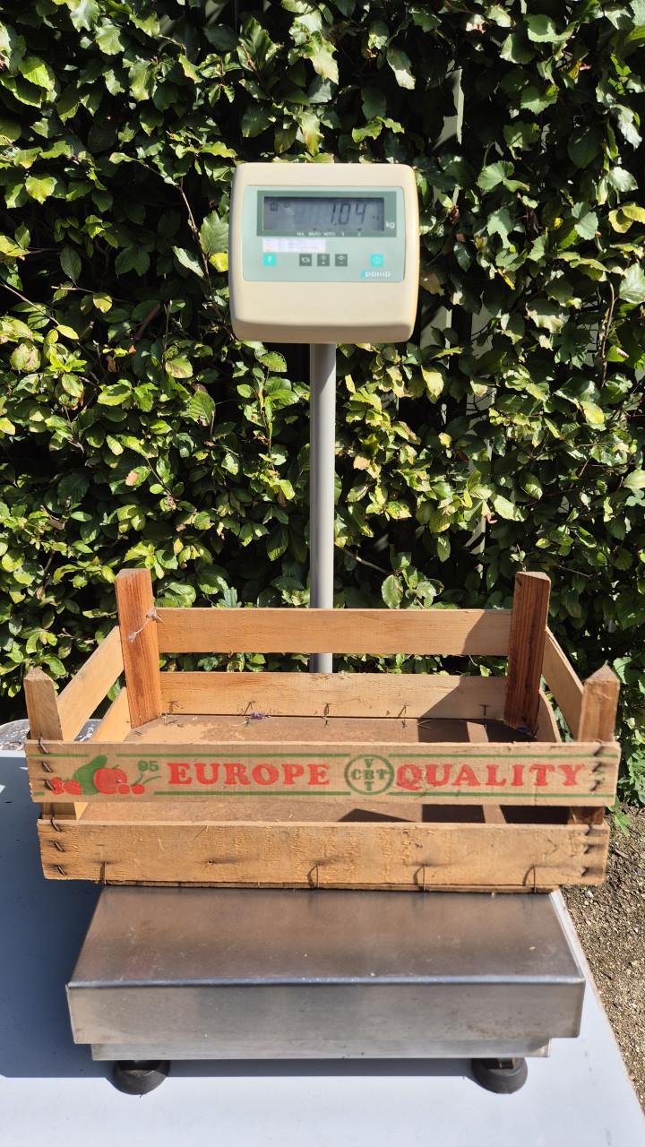 Professionele Prior plateauweegschaal – tot 60 kg