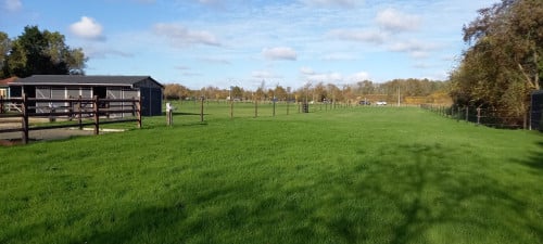 Paardenstal met weitje te huur in Burgh-Haamstede
