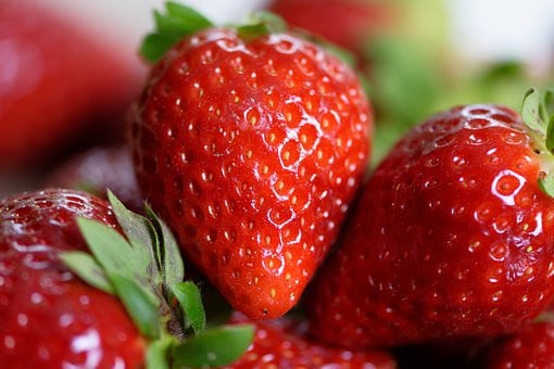 Biologisch groente/fruit/bloemen kweken in Middelburg
