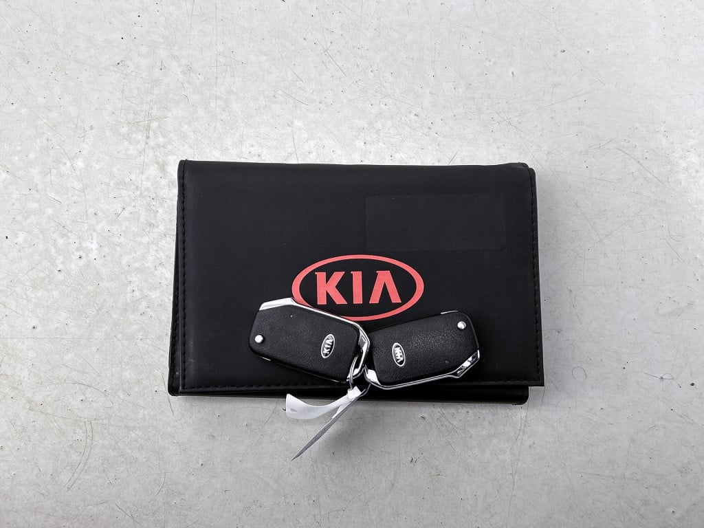 Kia Niro 1.6 gdi hybrid dynamicline stoel/stuurwielverwarming | navigatie |