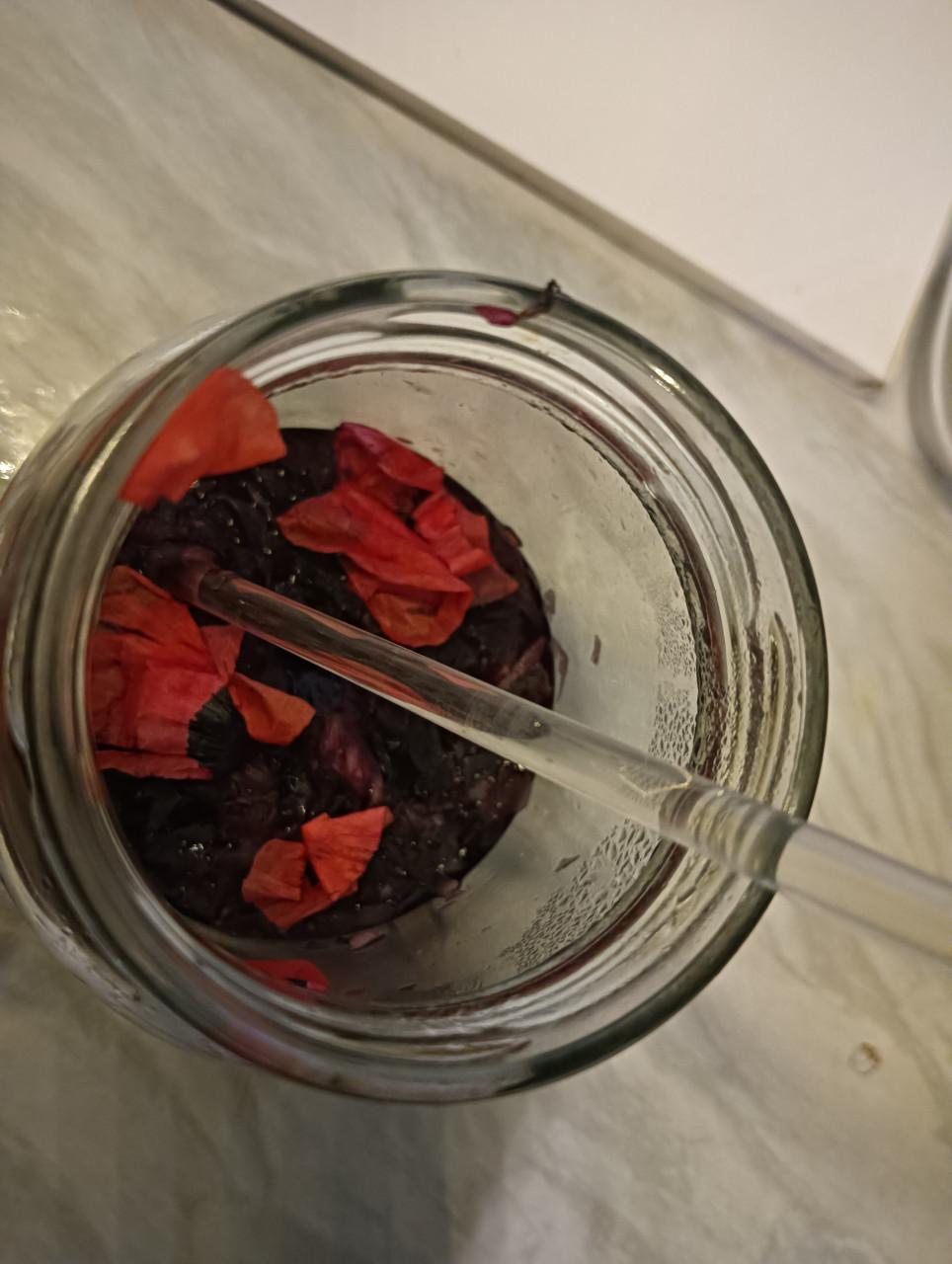 Wildplukwinterwandeling