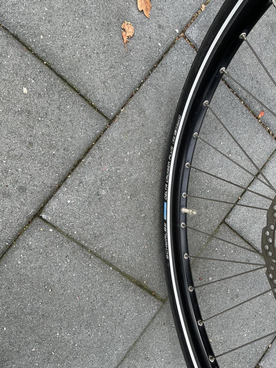 Victoria dames e bike met bosch middenmotor frame 53 cm