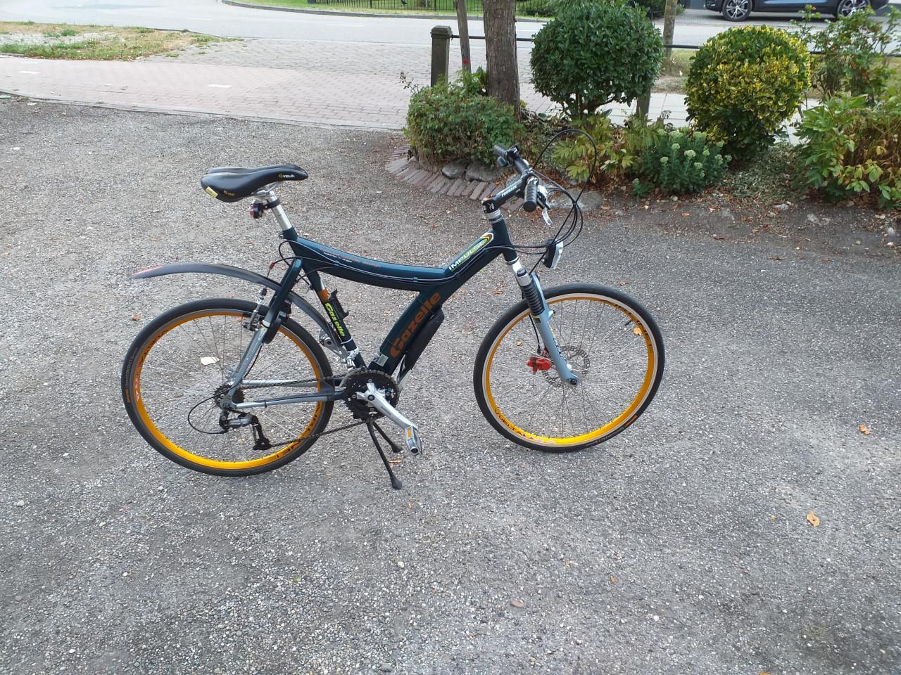 """GAZELLE IMPULS"" Y "" FRAME SPECIAAL GAZELLE DESIGN""""