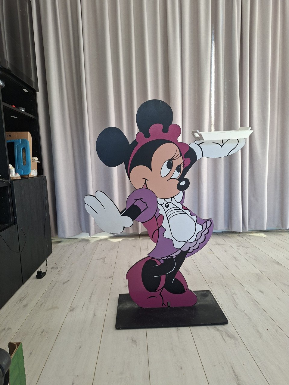 Mickey en Minnie mouse