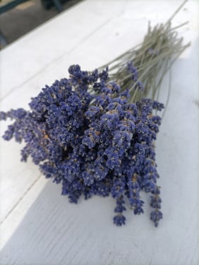 Bosje vers gedroogde lavendel