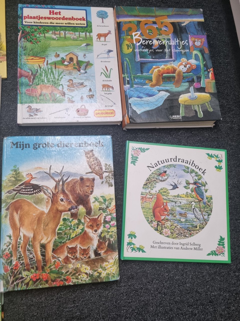 Kinderboeken kameleon e.a.