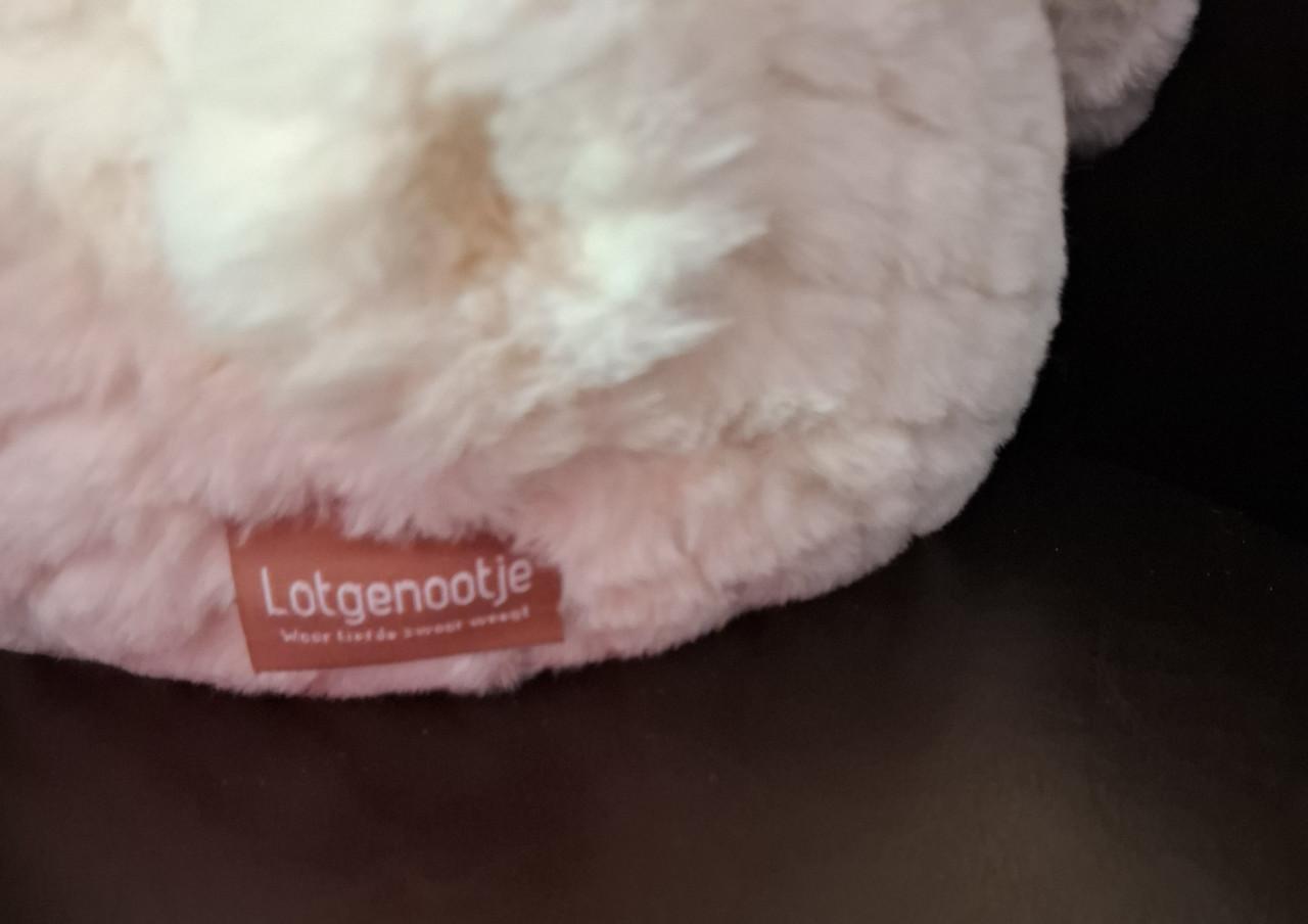 Lotgenootje schaap 2 kilo