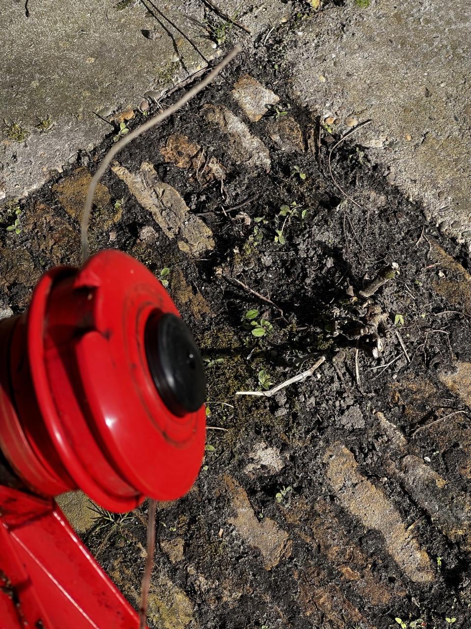 Grastrimmer, Kantenmaaier Solo 115