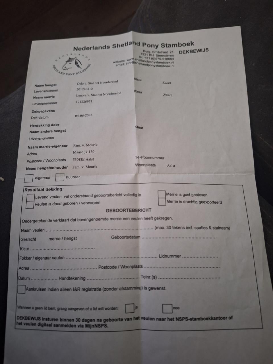 Te koop merrie met merrie veulen VERKOCHT  !!