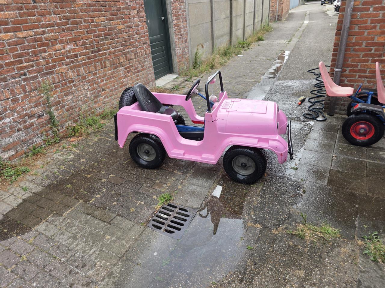 Mammoet skelter met karretje
