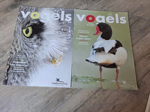 2x Vogels
