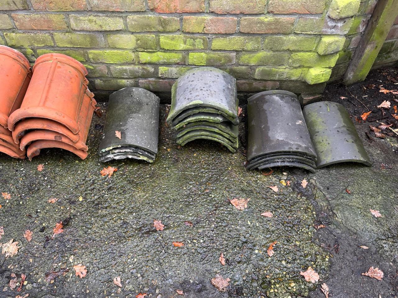 Nokvorsten (diverse types)