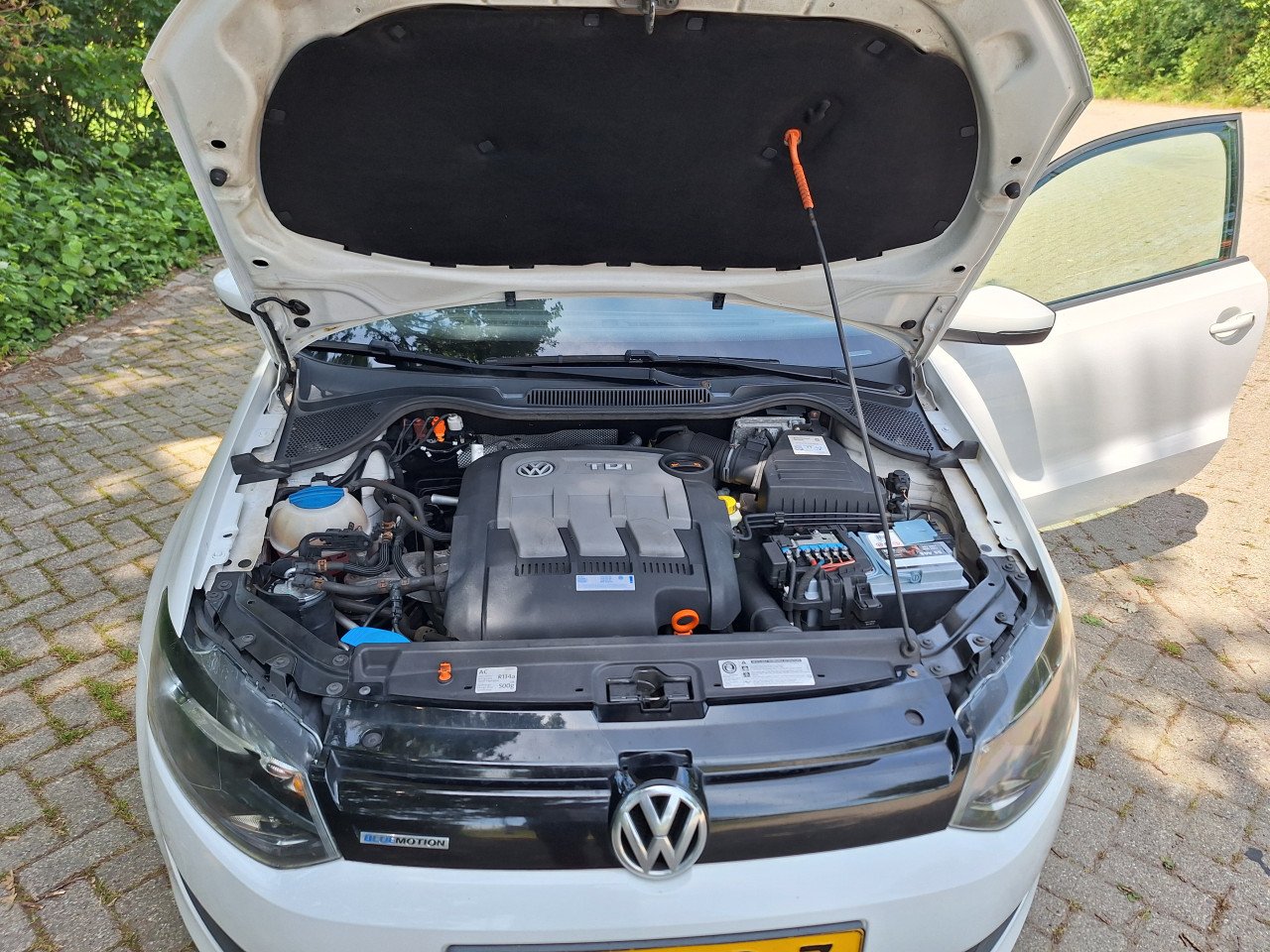 VW Polo Blue Motion