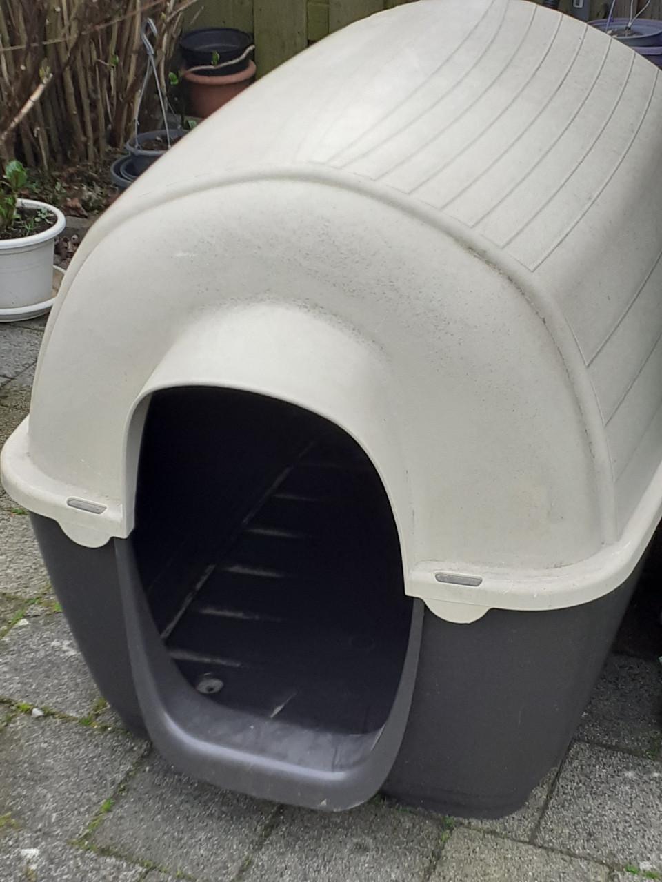 Grote varikennel en hondenhok