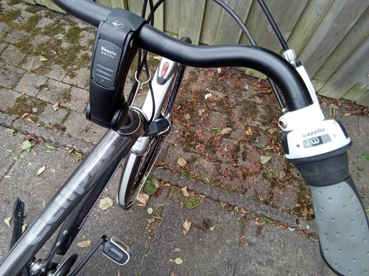 Gazelle Limited Edition