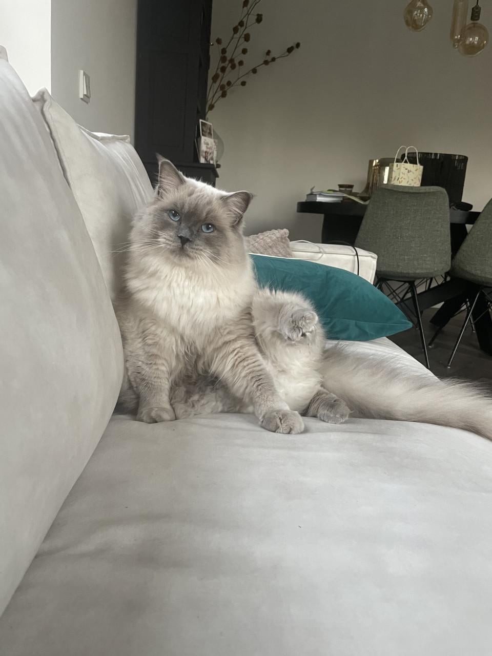 Ted is op zoek naar personeel