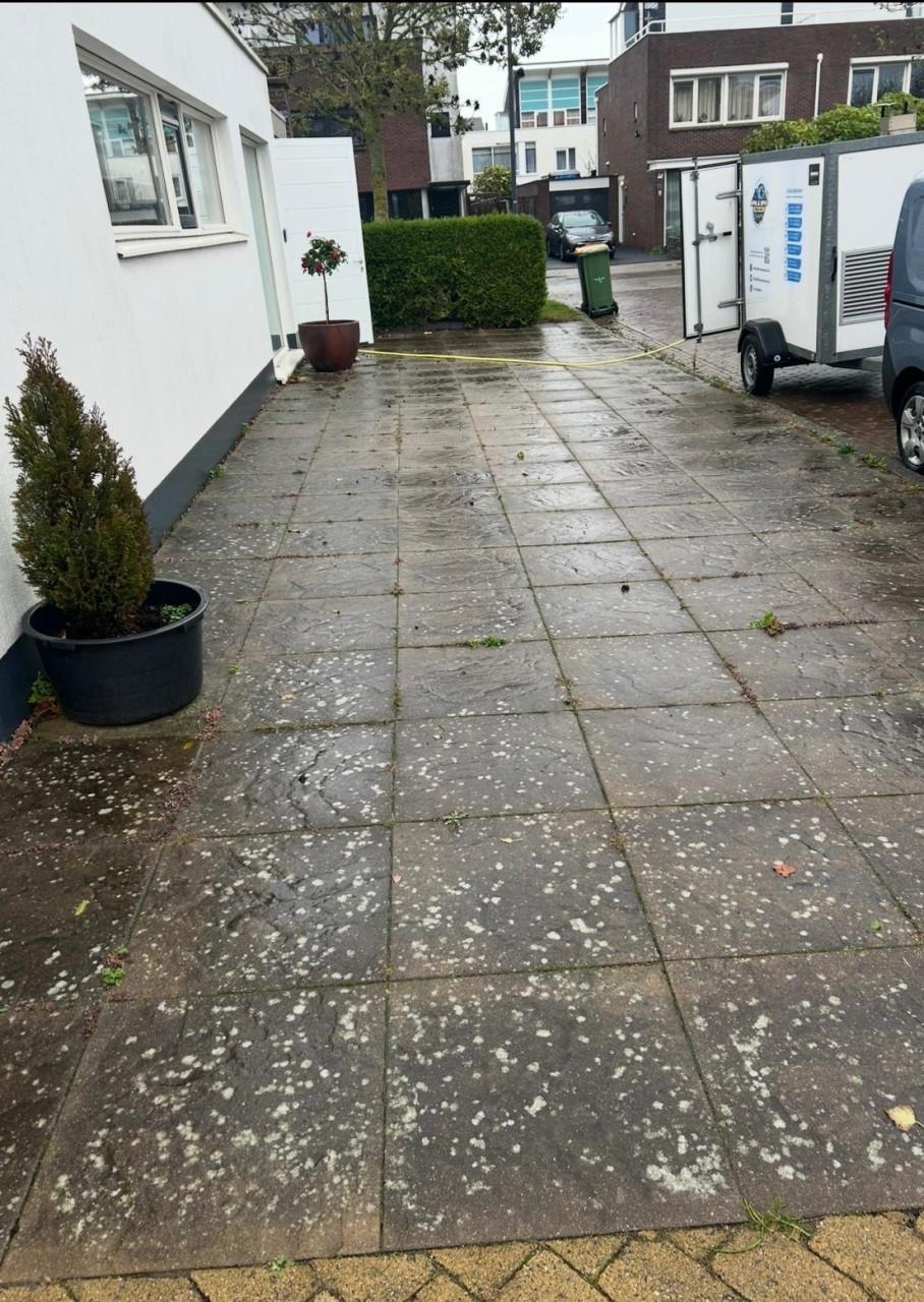 Buitenomgeving reinigen? Spik & Span helpt u graag!