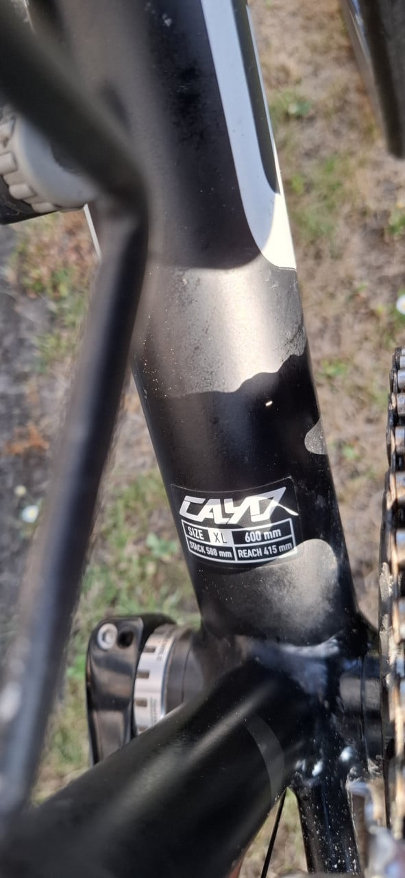 Focus Cayo