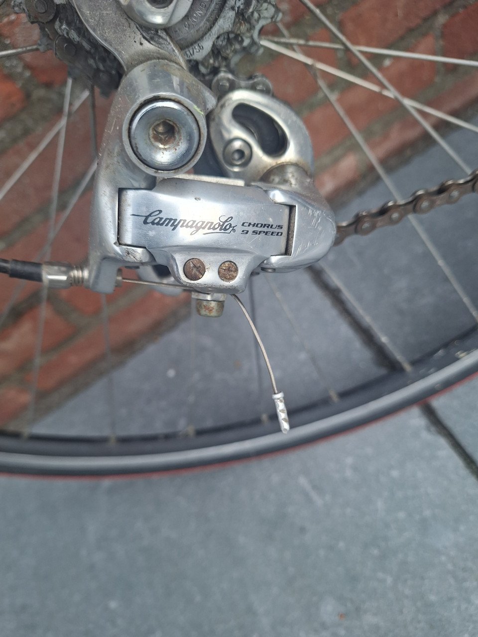 Voor de verzamelaar campagnolo 9speed chorus