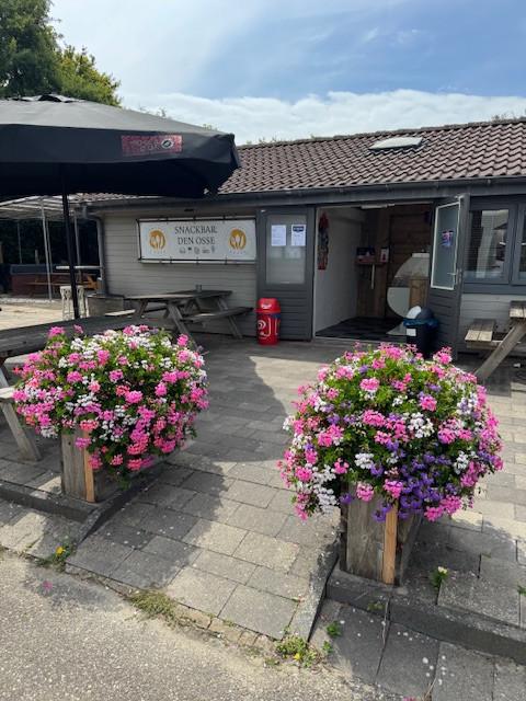 Brasserie / Snackbar ter overname in Brouwershaven