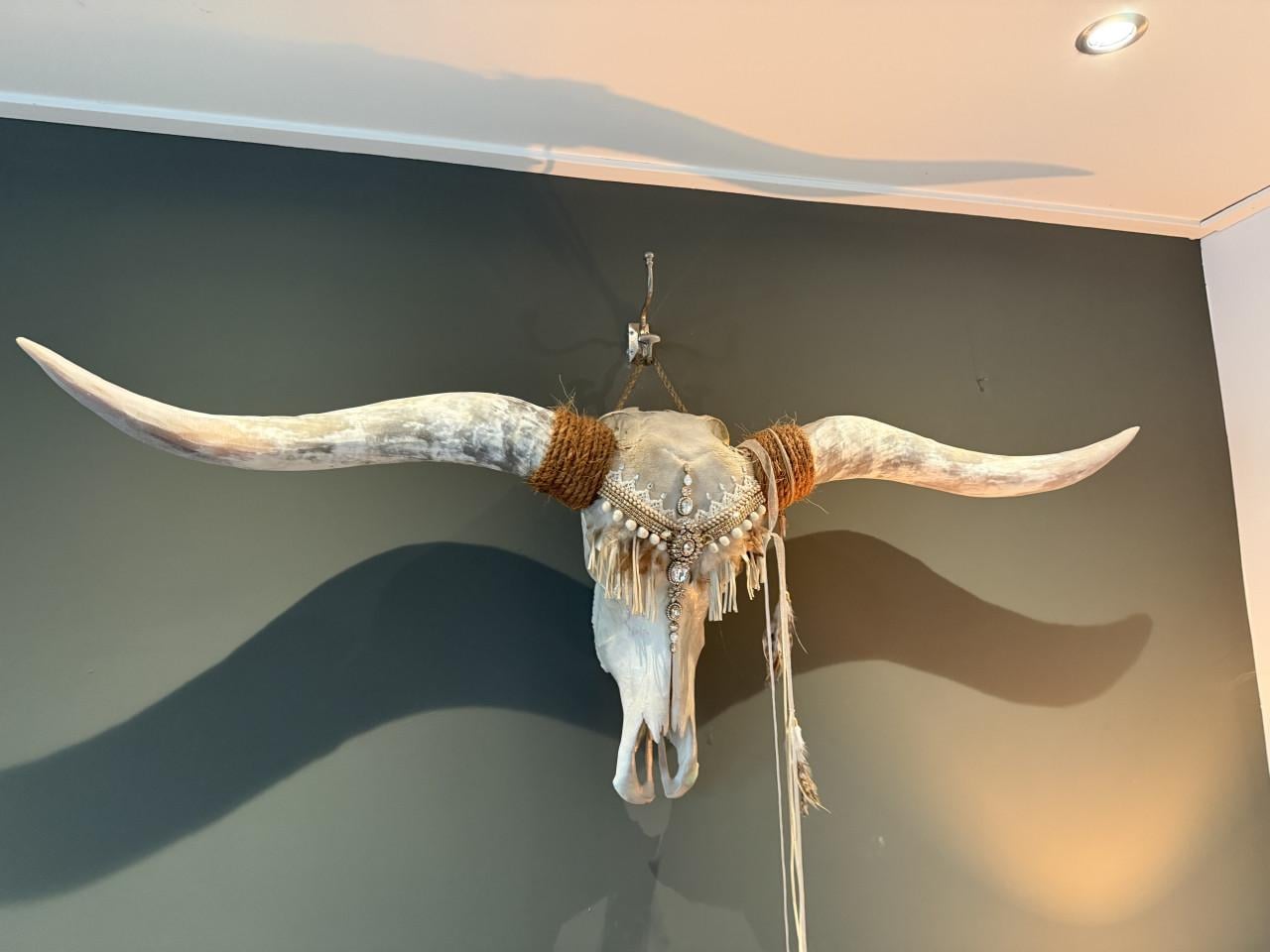 Longhorn wanddecoratie