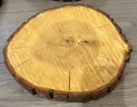 Boomstamschijf 34 cm 2 stuks