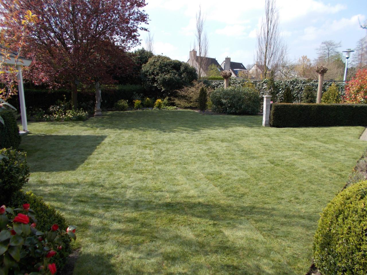 Zoekt u een goede Hovenier ?