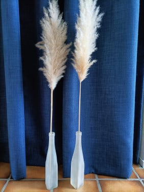 2 mat glas flessen met een Pampas graspluim. Hoogte flessen 27,5 cm.