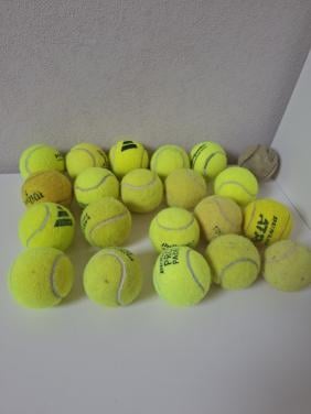 21 ballen voor de hond