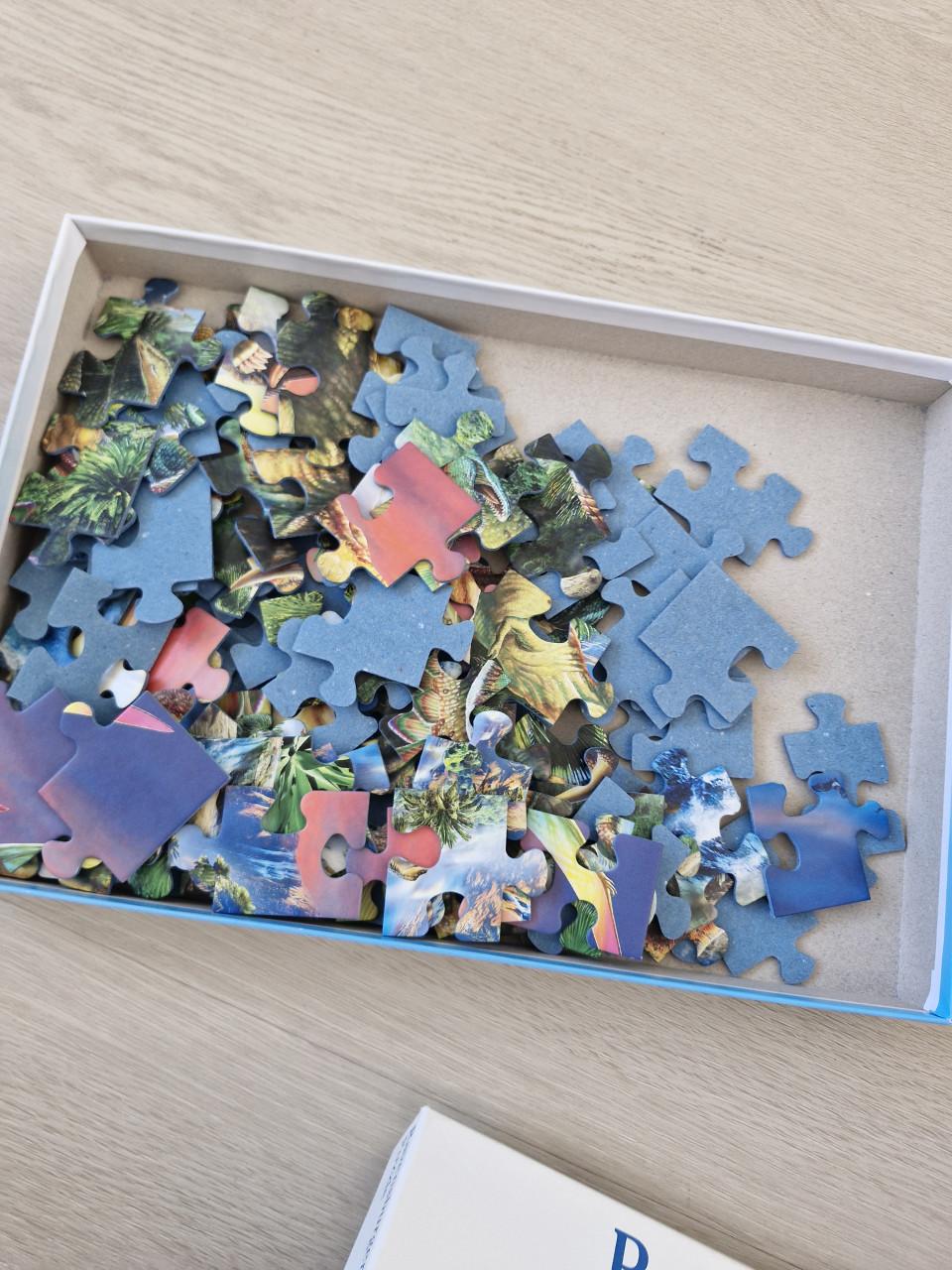 Dino Puzzel 100XXL stuks.