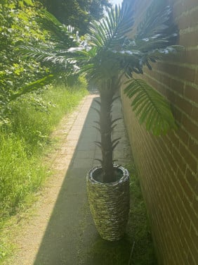 Eric kuster style vaas incl palmboom