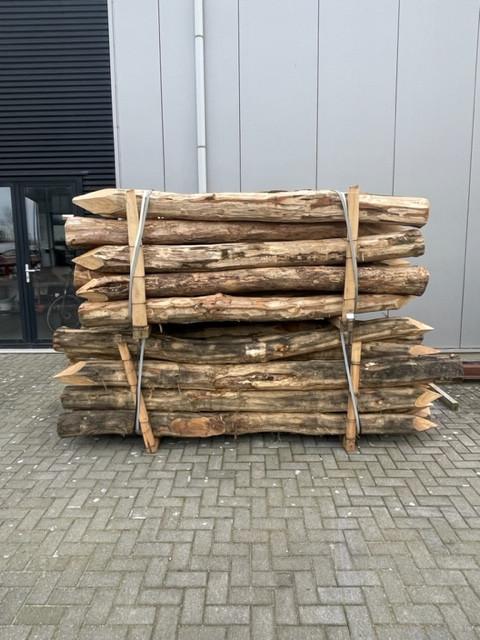 Robinia Strandpalen Mooi voor in de tuin als decoratie